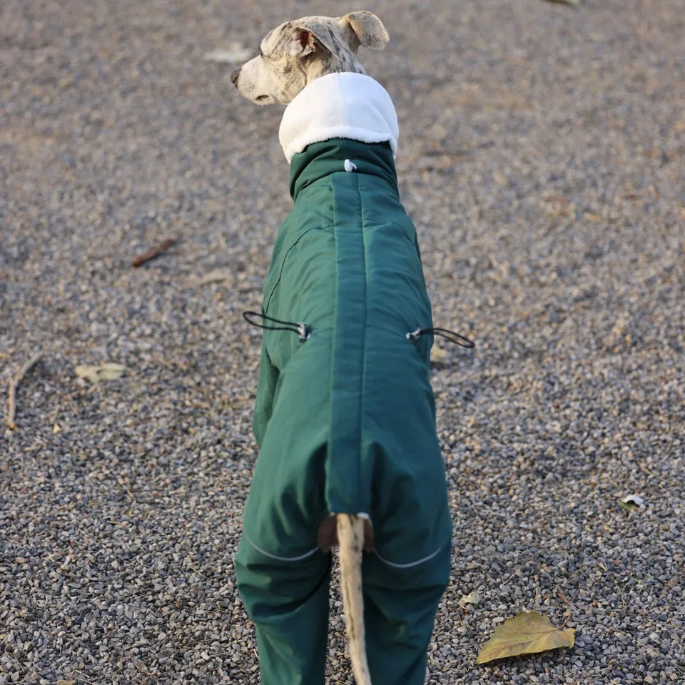Winter 4-legged Windproof Cotton Jacket for Italian Greyhound Warm High Neck Adjustable Sweatshirt for Whippet Greyhound to 25KG
