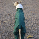 Winter 4-legged Windproof Cotton Jacket for Italian Greyhound Warm High Neck Adjustable Sweatshirt for Whippet Greyhound to 25KG