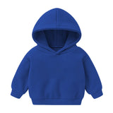 Boys Girls Sweatshirt Spring Toddler Boys Sports Hooded Sweatshirt  Autumn Baby Children Tops Casual Kids Clothes 1 2 3 4 5 Yrs