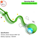 Cat Toys Automatic Rolling Ball Faux Tail Rechargeable Smart Pet Interactive Ball Electric Toy Dog Cat Training Imitate Mouse