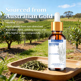 Tea Tree Essential Oil ,100% Pure Nature for Aromatherapy, Diffuser, Humidifier,  Woody, Relieving Stress，Massage Muscle