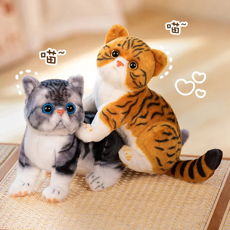 Super Likfelike Fat Face Cat Plushie Stuffed Apple Face Tiger Patterned Kitten Simulated Animals Home Decor Gift for Boy Kids