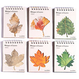 JIANWU Whisper of Leaves Series Vintage Texture Landscape Collage Scrapbook Material Paper Creative Junk Journal Stationery
