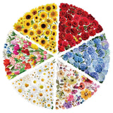 50 Pcs Transparent Flower & Plant Stickers - PET Decorative Craft Supplies for Journals, Notebooks, Tablets(Anime Worlds Store)