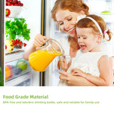 BioloMix 3-in-1 Multifunctional Food Processor 700W Portable Juicer Blender Personal Smoothie Mixer Food Chopper and Dry Grinder