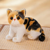 Super Likfelike Fat Face Cat Plushie Stuffed Apple Face Tiger Patterned Kitten Simulated Animals Home Decor Gift for Boy Kids