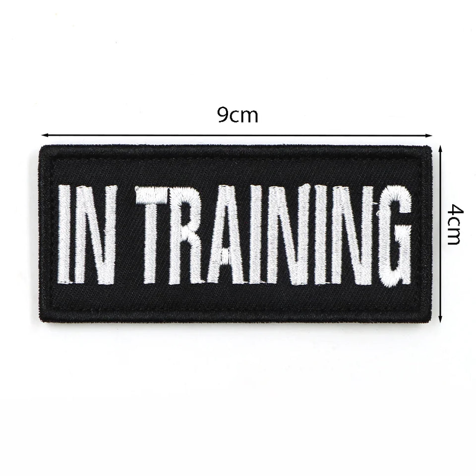 Tactical Cat Harness Leash Set Escape Proof Breathable Military Vest and Velcro for Small Dog Kittens Puppies Walking & Training