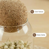 Four size spherical cork transparent glass sealed cans, suitable for storing coffee beans/tea leaves and kitchen storage