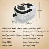 Steam Cleaner High Temperature Sterilization Air Conditioning Kitchen Hood Car Steaming Cleaner Commercial Household 220VEU Plug