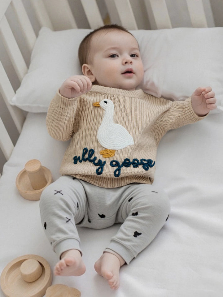 0-3T Toddler Baby Boy Girl Knit Sweater Silly Goose Embroidery Long Sleeve Knitted Sweatshirt Warm Fall Winter Clothes