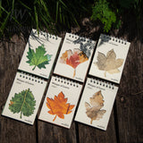 JIANWU Whisper of Leaves Series Vintage Texture Landscape Collage Scrapbook Material Paper Creative Junk Journal Stationery