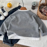 Boys' Casual Loose Cotton Long Sleeve Sweatshirt Grid Pullover Shirt 6-14 Years Spring Autumn Fashion Fake 2 Piece Top for Kids