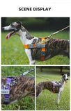 Classic Durable Dog Leashes Medium large Dog Solid Lead Rope Fashion Black Mesh Dog leash Outdoor Walking Training New Arrivals