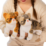 Super Likfelike Fat Face Cat Plushie Stuffed Apple Face Tiger Patterned Kitten Simulated Animals Home Decor Gift for Boy Kids