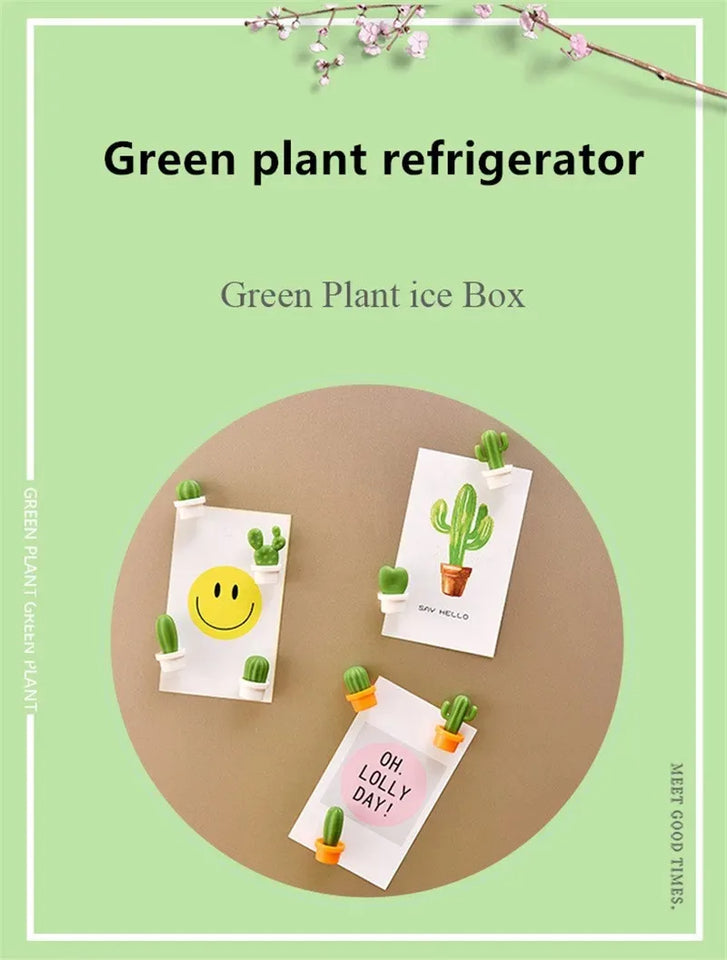 6Pcs/Set 3D Cute Succulent Plant Magnet Message Sticker for Kitchen Refrigerator Magnet Button Cactus decoration accessories
