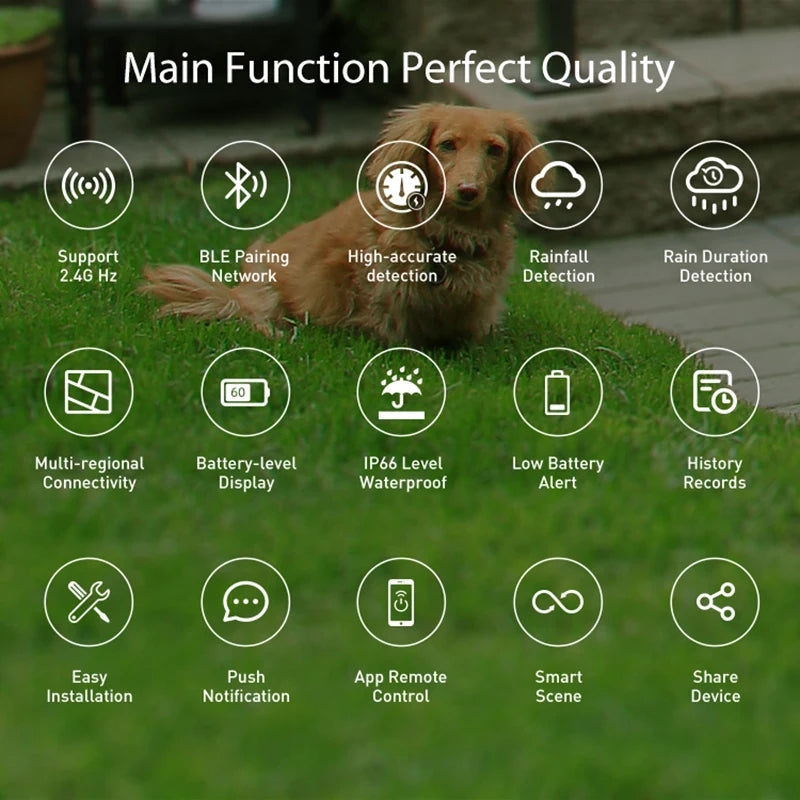 WiFi Rain Sensor Rainfall Duration Leakage Detection Outdoor Waterproof Battery Tuya Smart Life App Control Home Automation