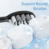 Electric Toothbrush Rotary Cleaning Teeth Brush Waterproof Electronic Tooth Brush With Timer USB Rechargeable Toothbrush 10 head