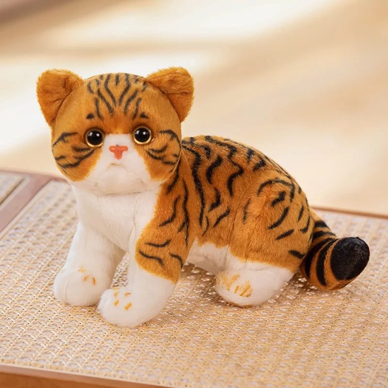 Super Likfelike Fat Face Cat Plushie Stuffed Apple Face Tiger Patterned Kitten Simulated Animals Home Decor Gift for Boy Kids