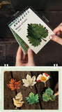 JIANWU Whisper of Leaves Series Vintage Texture Landscape Collage Scrapbook Material Paper Creative Junk Journal Stationery