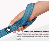 Winhyepet Dog Leash with Padded Handle Training Durable 200cm Luxury Pet Leash for Small Medium Large Dogs accessories