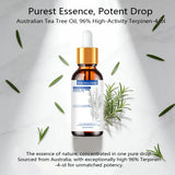 Tea Tree Essential Oil ,100% Pure Nature for Aromatherapy, Diffuser, Humidifier,  Woody, Relieving Stress，Massage Muscle
