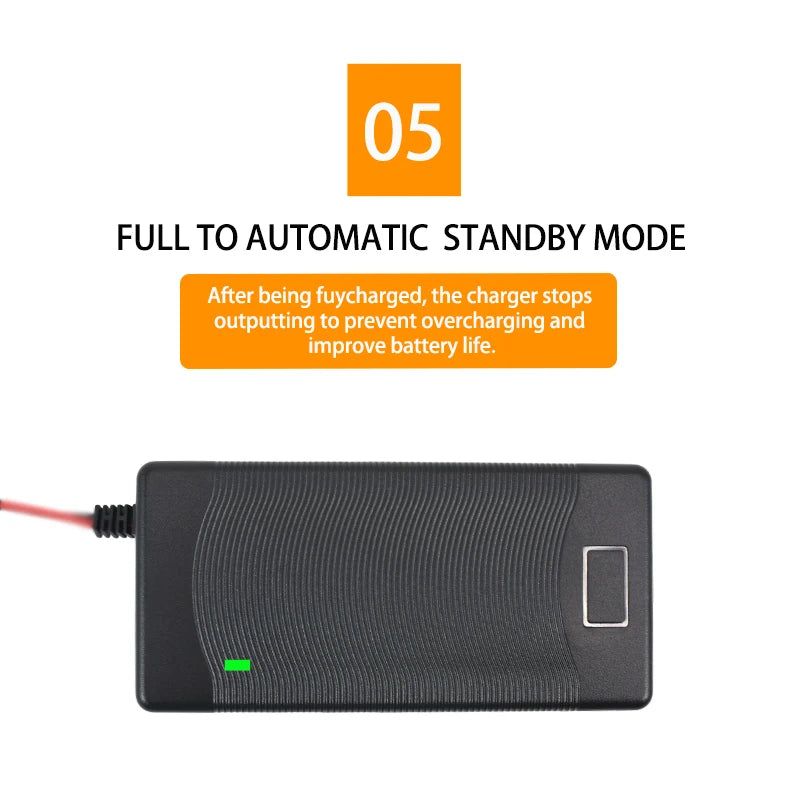 71.4V 3A 4A 2A Li-ion Charger 17S 61.2V 62.9V 3A Lithium Chargers T/PC/IEC 3Pin Connector