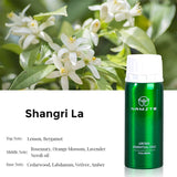 NAMSTE Electric Aromatic Hotel Essential Oil Sale Pure Plant Diffuser Essential Oils Oasis Fragrant Device Home Air Freshener