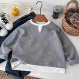 Boys' Casual Loose Cotton Long Sleeve Sweatshirt Grid Pullover Shirt 6-14 Years Spring Autumn Fashion Fake 2 Piece Top for Kids
