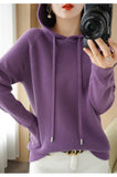 Hoodies And Sweatshirts Long Sleeve Sweaters For Women Wool Clothing New Arrivals Knitted Jumpers Female Outerwears Fashion Tops