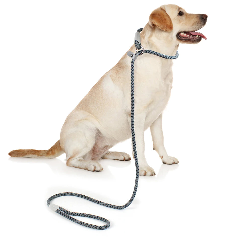 Classic Durable Dog Leashes Medium large Dog Solid Lead Rope Fashion Black Mesh Dog leash Outdoor Walking Training New Arrivals