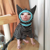 Four Legged Striped Shirt Hat Tail Cover Suit for Sphynx Cat Spring Black Sweatshirt for Kittens Hairless Warm Autumn Costumes