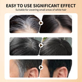 2in1 Hair Dye Stick with Comb Black Brown Coffee Long Lasting Temporary Hair Coloring Covered White Hairs Hairline Pen Washable