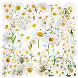 50 Pcs Transparent Flower & Plant Stickers - PET Decorative Craft Supplies for Journals, Notebooks, Tablets(Anime Worlds Store)