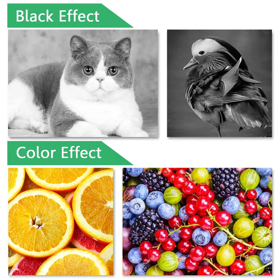 Compatible with HP 65XL 65 XL Ink Cartridge for Envy 5055 5058 5052 5010 5000 DeskJet 3755 2622 2655