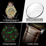 POEDAGAR Fashion Business Men Watch Waterproof Luminous Hollow Tourbillon Male Clock Automatic Mechanical Leather Men's Watches