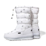 Women Snow Boots Platform Winter Boots Thick Plush Waterproof Non-slip Boots Fashion Women Winter Shoes Warm Fur Botas mujer