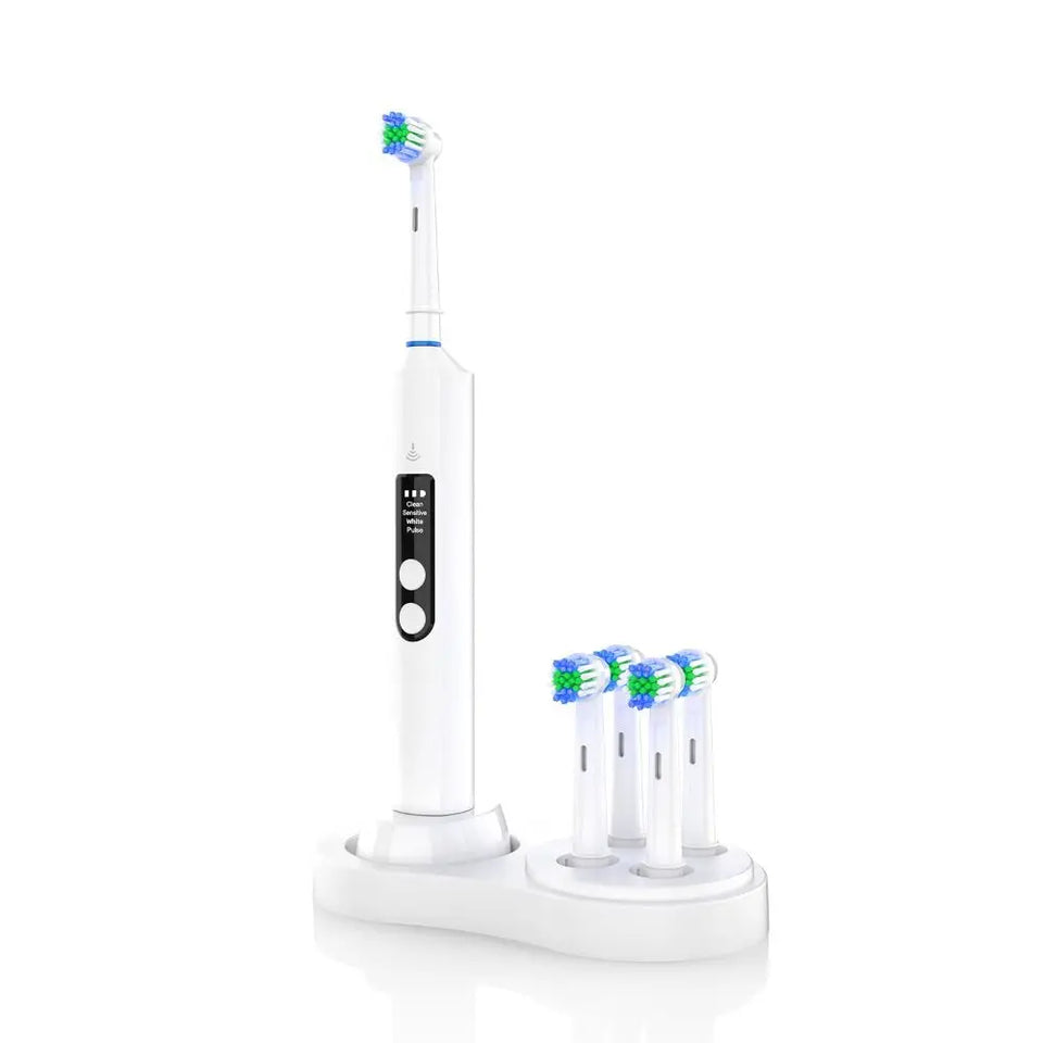 Organizer Electric Toothbrush Holder Universal Durable Toothbrush Bracket Dustproof for Oral B iO Series & EB Round Head Series