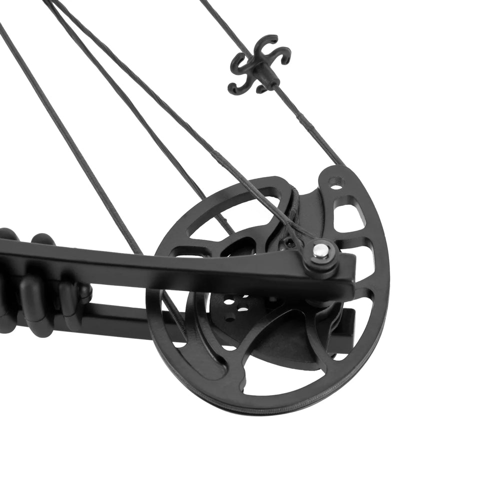 30-55 lbs Compound Bow Adjustable Draw Weight and Length with 3-Pin Sight 12 Arrows Complete Arch Set for Adults Right Hand