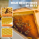 30-Pack Natural Beeswax Hive Foundations Beekeeper's Starter Kit 7.68x16.34" Beekeeping Sheets for Increased Honey Production
