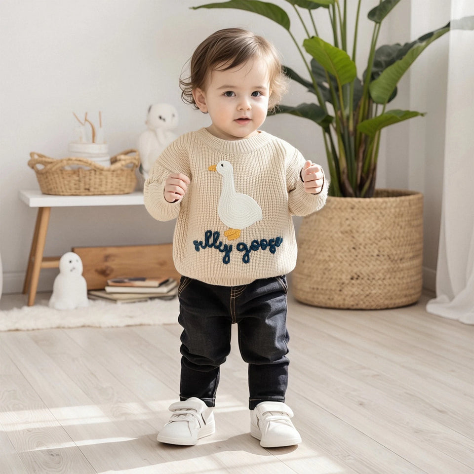 0-3T Toddler Baby Boy Girl Knit Sweater Silly Goose Embroidery Long Sleeve Knitted Sweatshirt Warm Fall Winter Clothes