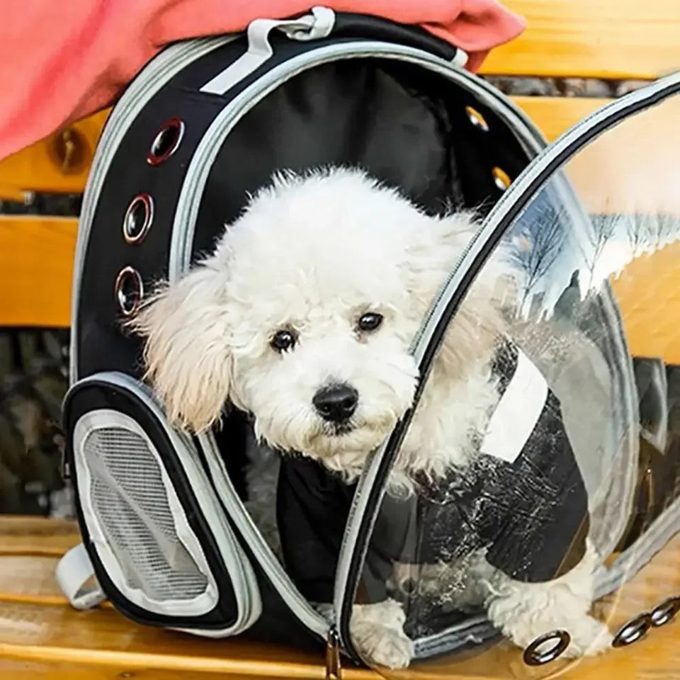 Portable Transparent Pet Cat Carrier Clear Dome Space Capsule Pet Carrying Bag Breathable Cat Backpack Vet Visit