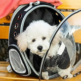 Portable Transparent Pet Cat Carrier Clear Dome Space Capsule Pet Carrying Bag Breathable Cat Backpack Vet Visit