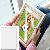 Transparent Plexiglas Clear plastic Acrylic Sheet board organic glass polymethyl methacrylate 1mm 3mm 8mm thickness