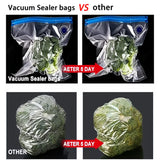 Simple operation Vacuum Sealer Machine Bag Rolls Food Sealer Compact Food Preservation System with Vacuum Bags