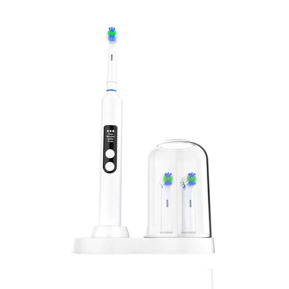 Organizer Electric Toothbrush Holder Universal Durable Toothbrush Bracket Dustproof for Oral B iO Series & EB Round Head Series