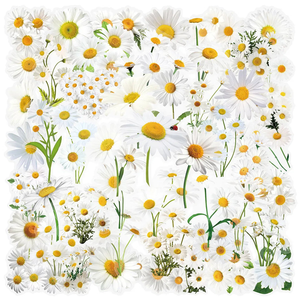 50 Pcs Transparent Flower & Plant Stickers - PET Decorative Craft Supplies for Journals, Notebooks, Tablets(Anime Worlds Store)