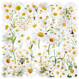 50 Pcs Transparent Flower & Plant Stickers - PET Decorative Craft Supplies for Journals, Notebooks, Tablets(Anime Worlds Store)