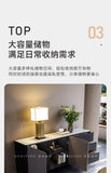 Display Modern Living Room Cabinets Floor Jewellery Mid Century File Cabinet Nordic Garage Vetrina soggiorno Home furniture
